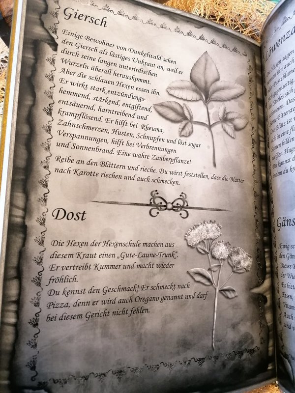 Rezepte aus dem Dunkelwald - Das magische Buch